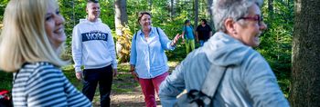 Waldspaziergang Psychosomatik
