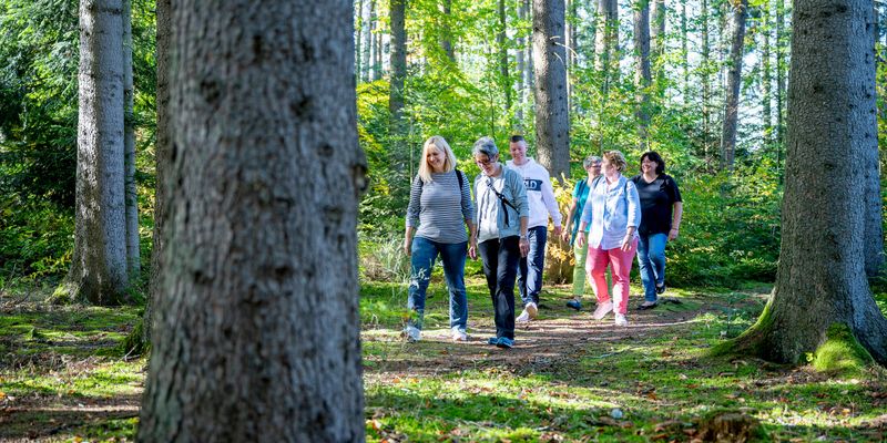Achtsamkeit: Patienten beim Spaziergang im Wald