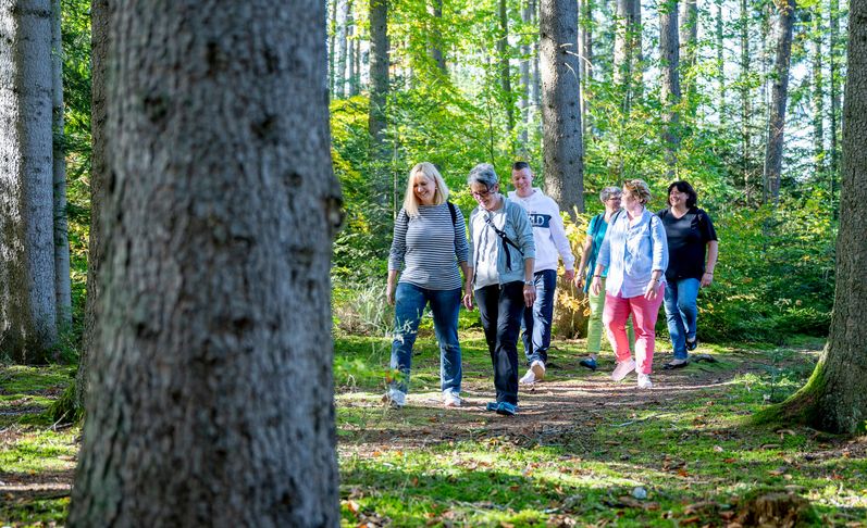 Achtsamkeit: Patienten beim Spazieren im Wald