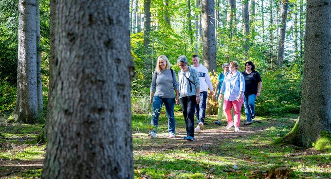 Achtsamkeit: Patienten beim Spazieren im Wald Achtsamkeit: Patienten beim Spazieren im Wald