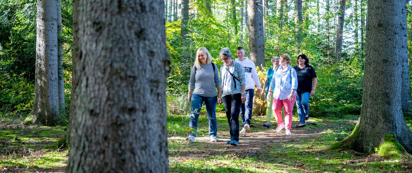 Achtsamkeit: Patienten beim Spaziergang im Wald